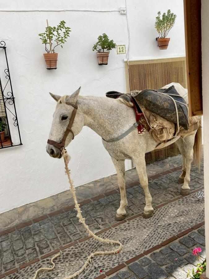 Casa Rural Villa Sila Benalauría Εξωτερικό φωτογραφία