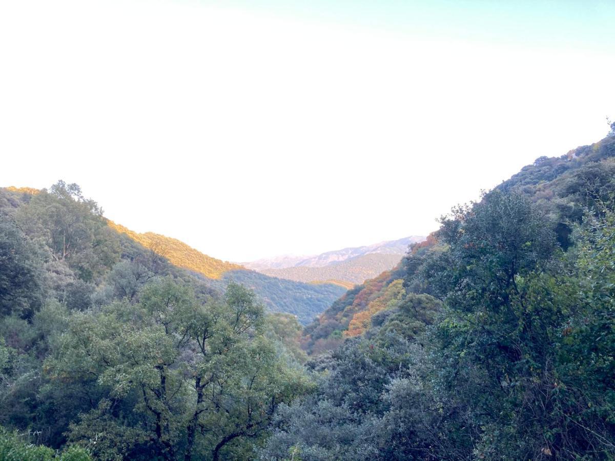 Casa Rural Villa Sila Benalauría Εξωτερικό φωτογραφία